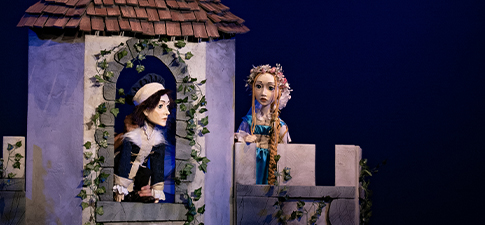 Rapunzel și prințul